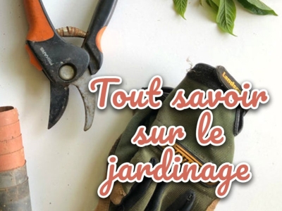 Tout savoir sur le jardinage